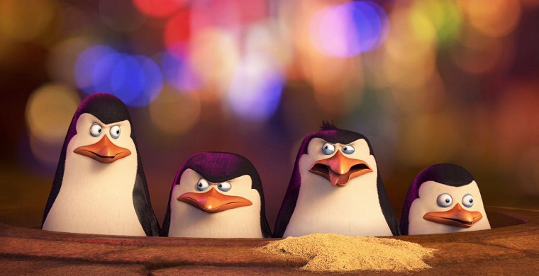 Still of Tom McGrath and Chris Miller in Los pingüinos de Madagascar