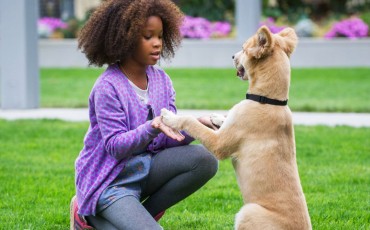 Still of Quvenzhané Wallis in Annie (2014) Photo 17 of 39 « Prev Next » ad feedback Related Galleries Actors and Actresses Nominated for the 2015 Golden Globe Awards (68) Actors and Actresses Nominated for the 2015 Golden Globe Awards (68) Share this photo: