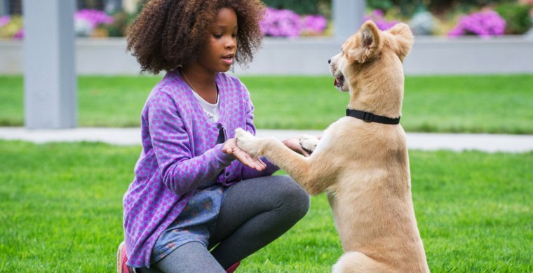 Still of Quvenzhané Wallis in Annie (2014) Photo 17 of 39 « Prev Next » ad feedback Related Galleries Actors and Actresses Nominated for the 2015 Golden Globe Awards (68) Actors and Actresses Nominated for the 2015 Golden Globe Awards (68) Share this photo: