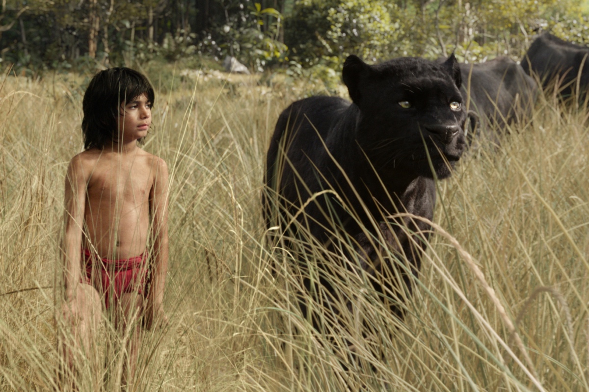 THE JUNGLE BOOK