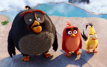 Angry Birds (2)-min