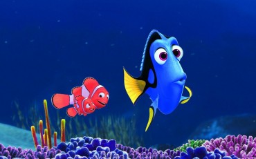 dory