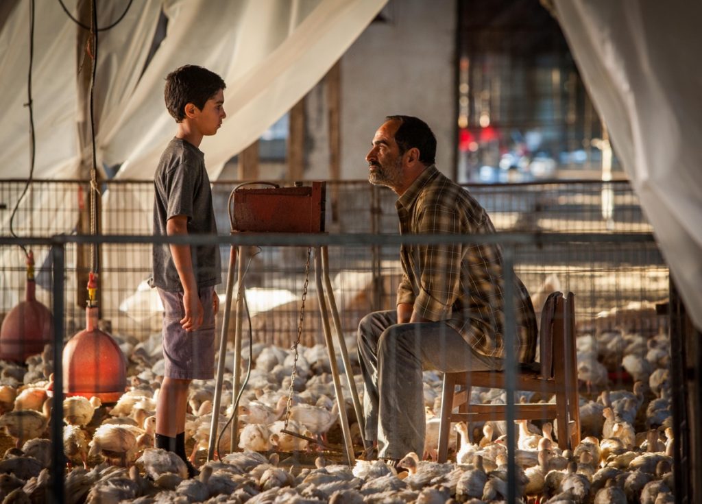 Padre e hijo en el interior de la granja.